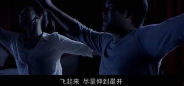 国产斗智真人版视频